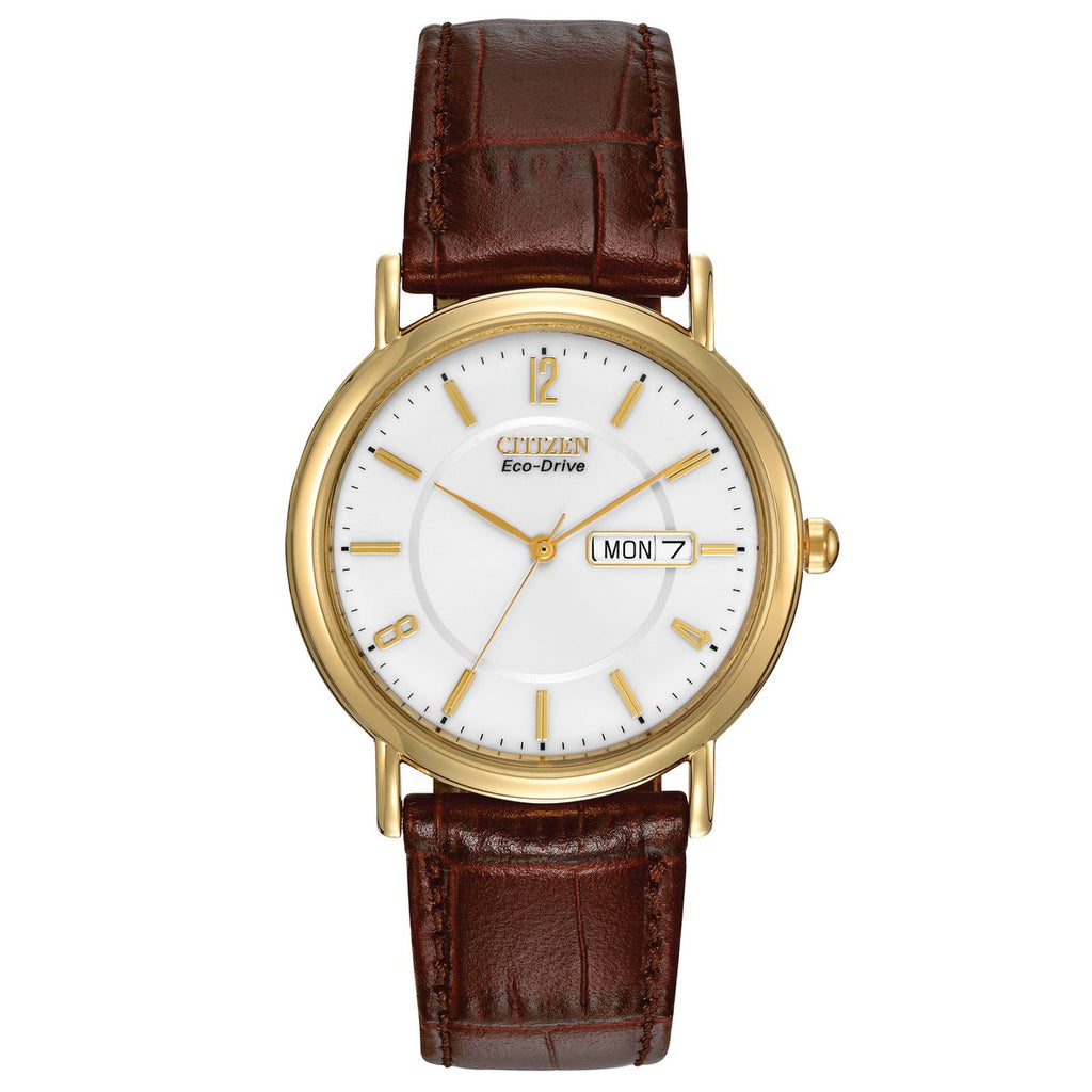 Citizen Gents Eco-Drive Watch